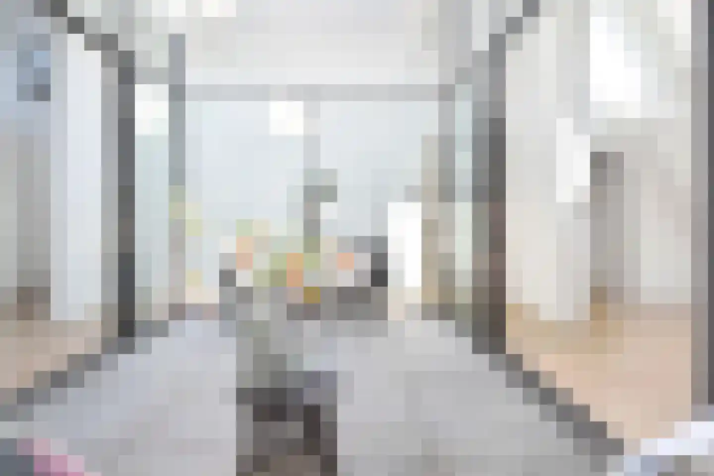 R. J. Schimmelpennincklaan 19 Den Haag thumbnail 34