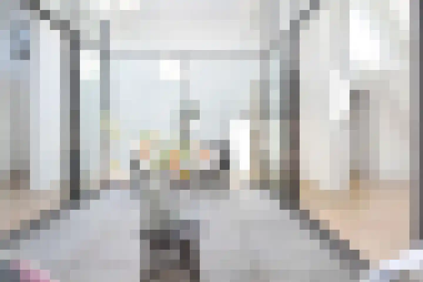 R. J. Schimmelpennincklaan 19 Den Haag thumbnail 34