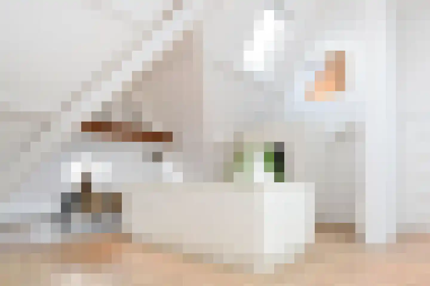 R. J. Schimmelpennincklaan 19 Den Haag thumbnail 35