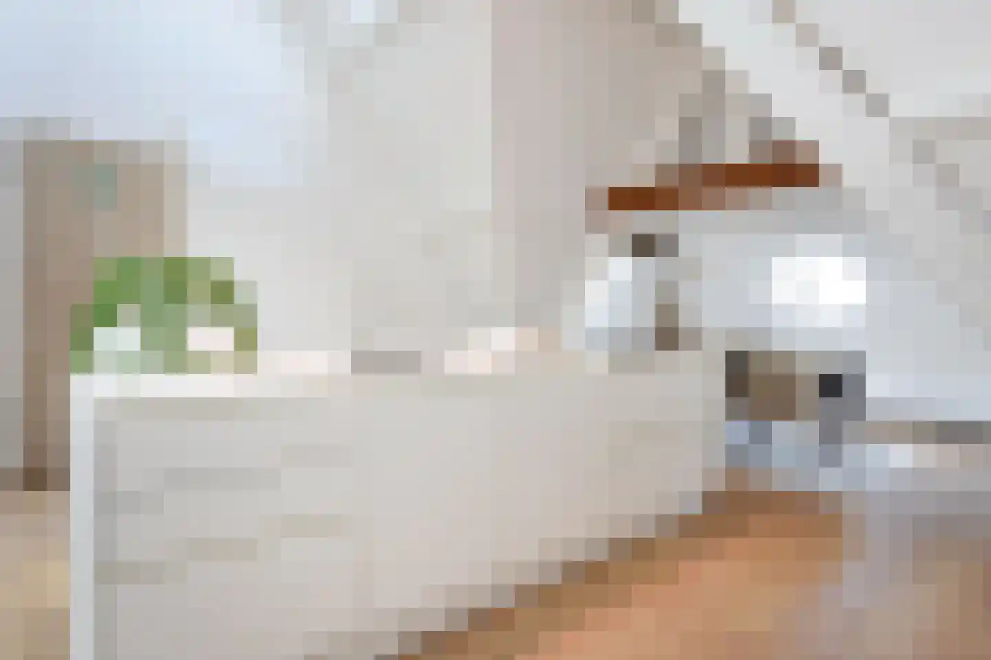 R. J. Schimmelpennincklaan 19 Den Haag thumbnail 45