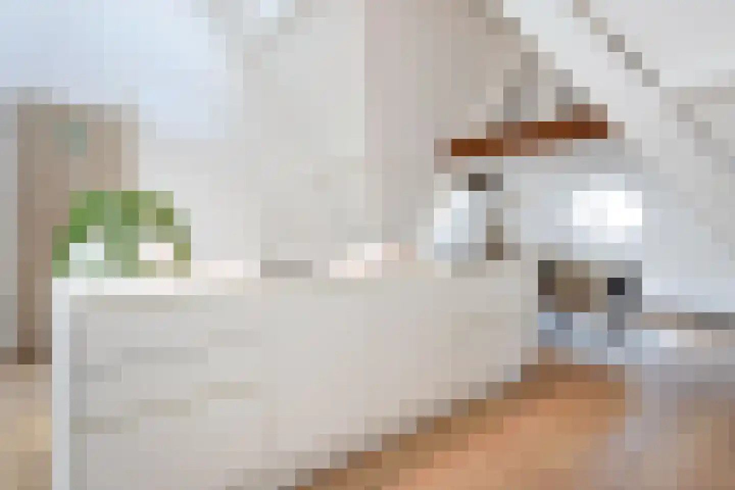 R. J. Schimmelpennincklaan 19 Den Haag thumbnail 45