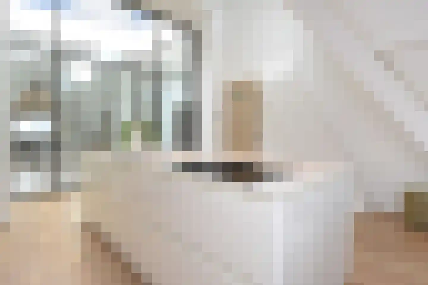 R. J. Schimmelpennincklaan 19 Den Haag thumbnail 50