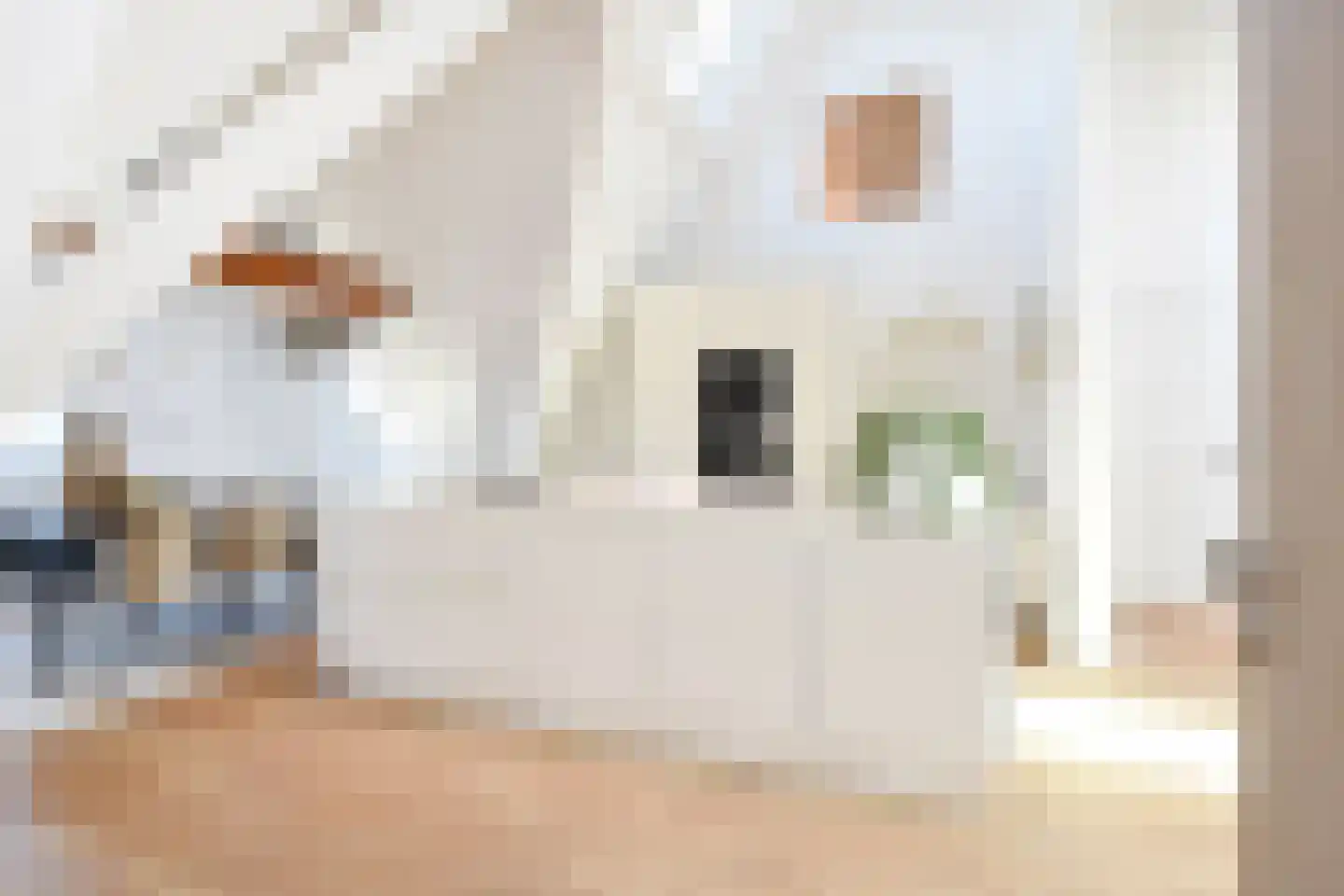 R. J. Schimmelpennincklaan 19 Den Haag thumbnail 54