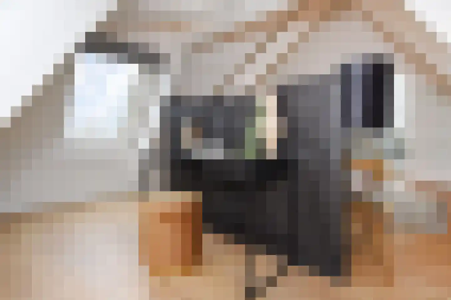 R. J. Schimmelpennincklaan 19 Den Haag thumbnail 61