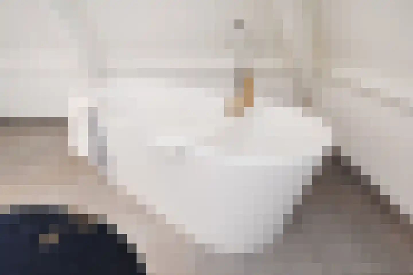 R. J. Schimmelpennincklaan 19 Den Haag thumbnail 65