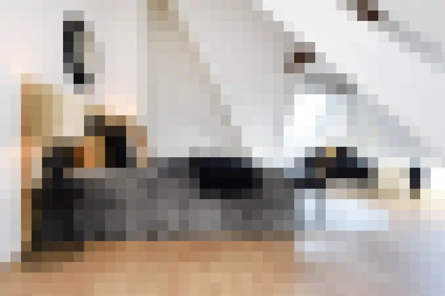 R. J. Schimmelpennincklaan 19 Den Haag thumbnail 71