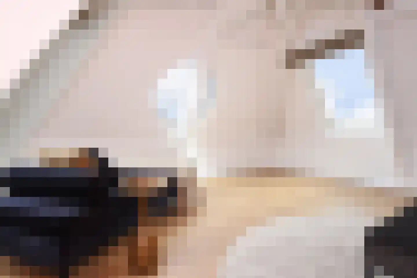R. J. Schimmelpennincklaan 19 Den Haag thumbnail 81