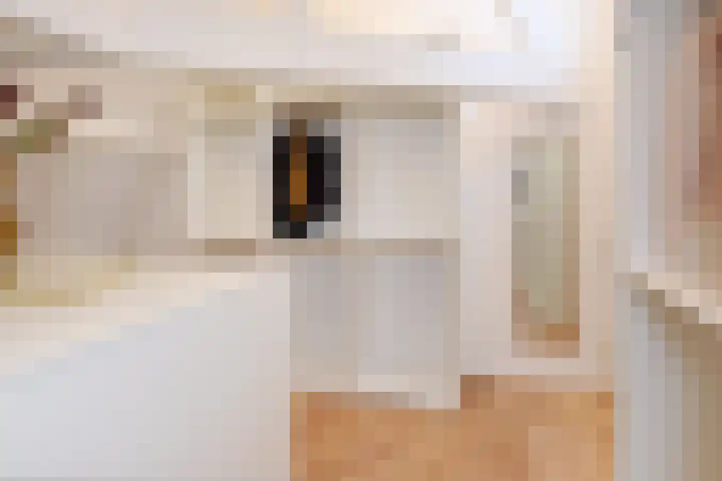 R. J. Schimmelpennincklaan 19 Den Haag thumbnail 85