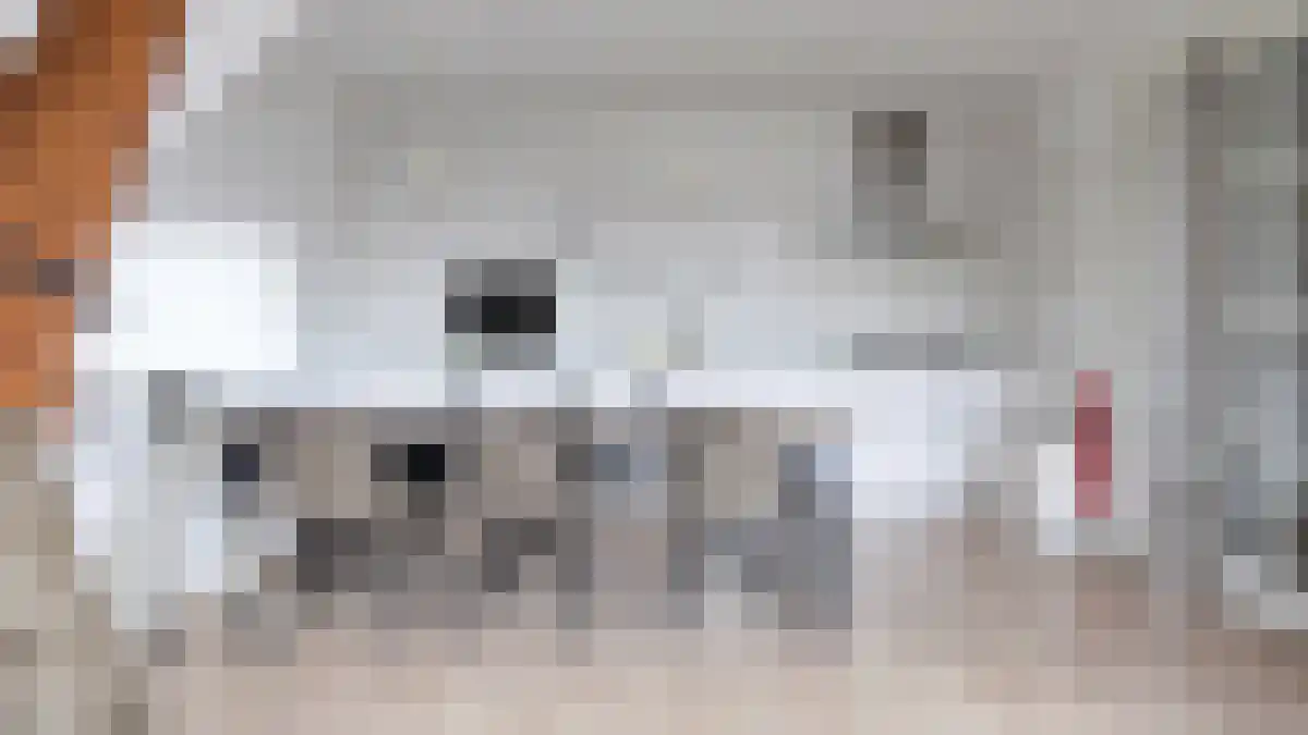 R. J. Schimmelpennincklaan 2 C Den Haag thumbnail 4