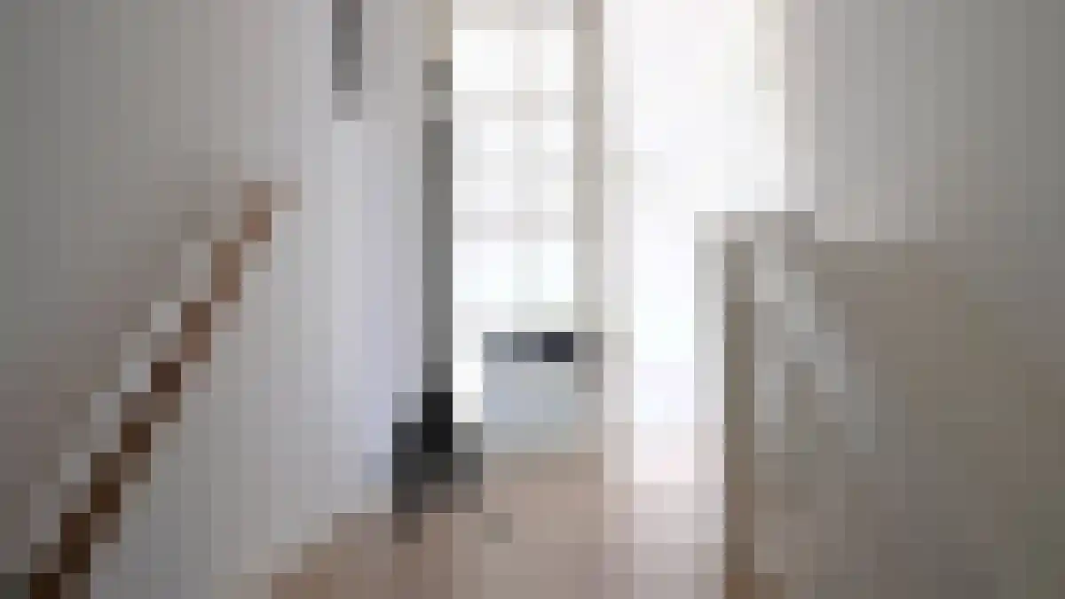 R. J. Schimmelpennincklaan 2 C Den Haag thumbnail 5