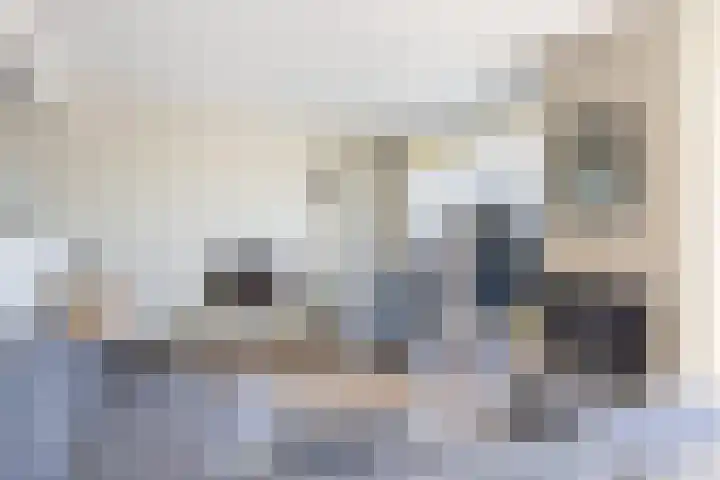 R Pollemaplein 10 Franeker thumbnail 10