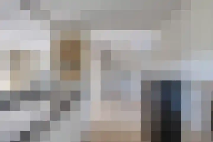 R Pollemaplein 10 Franeker thumbnail 12