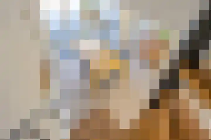 R Pollemaplein 10 Franeker thumbnail 17