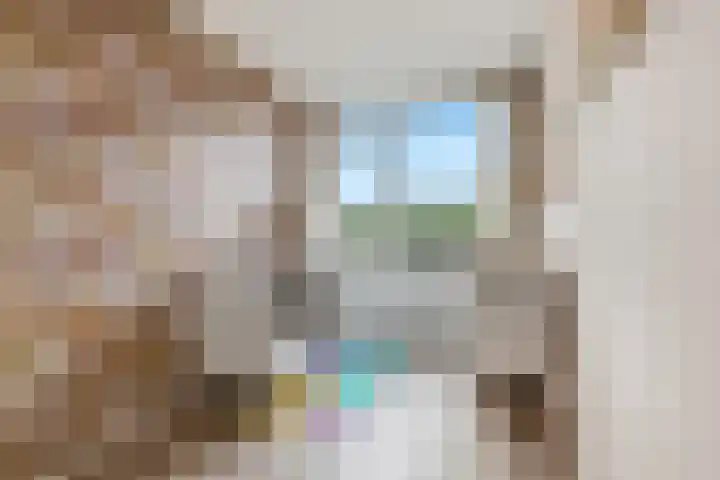 R Pollemaplein 10 Franeker thumbnail 18