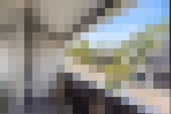 R Pollemaplein 10 Franeker thumbnail 20