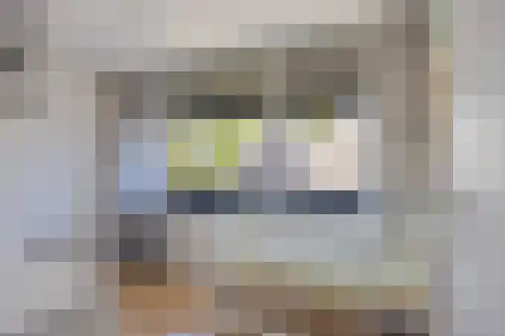 R Pollemaplein 10 Franeker thumbnail 21