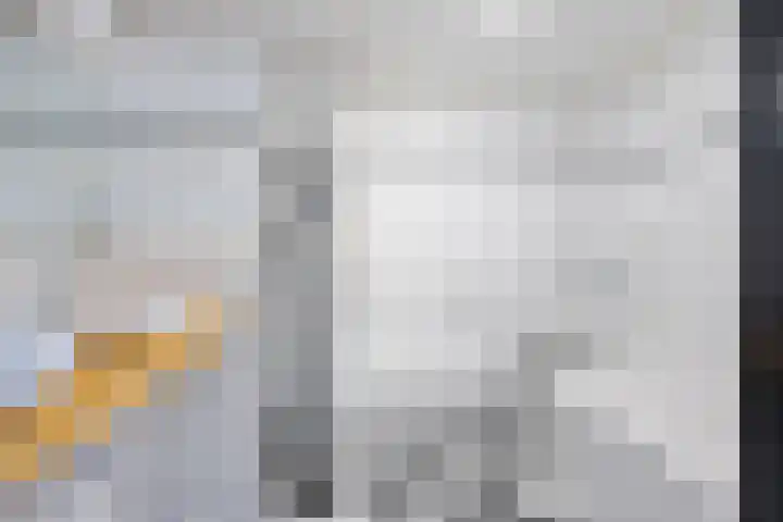 R Pollemaplein 10 Franeker thumbnail 23