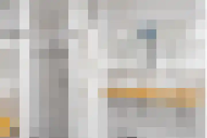 R Pollemaplein 10 Franeker thumbnail 24