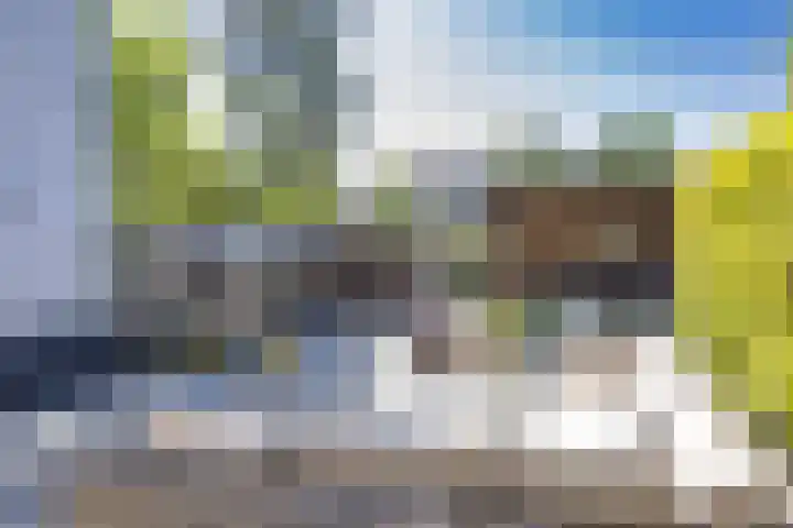 R Pollemaplein 10 Franeker thumbnail 33