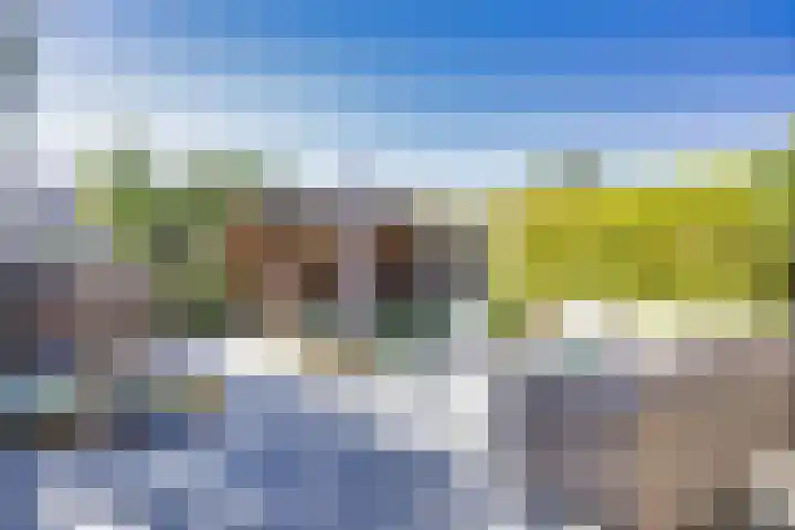 R Pollemaplein 10 Franeker thumbnail 34