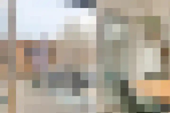 R Pollemaplein 10 Franeker thumbnail 37