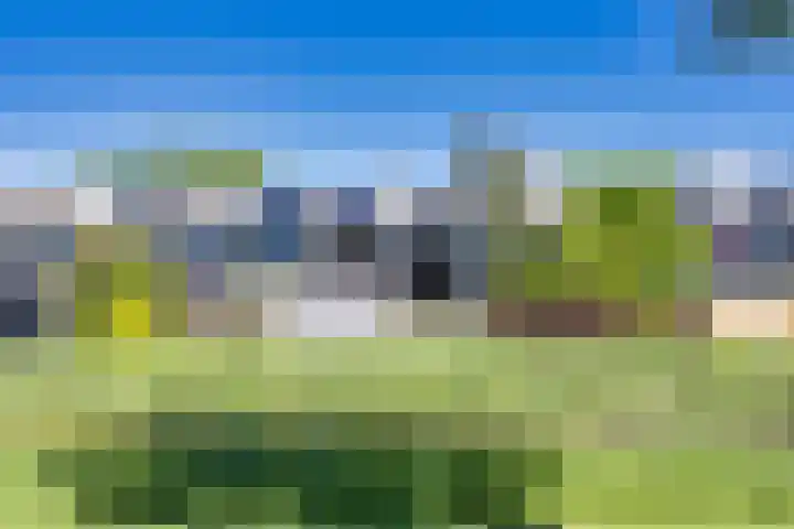 R Pollemaplein 10 Franeker thumbnail 39