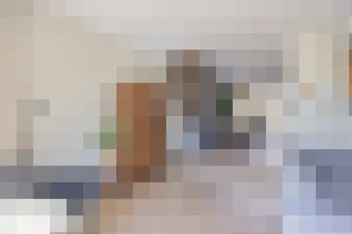 R Pollemaplein 10 Franeker thumbnail 7