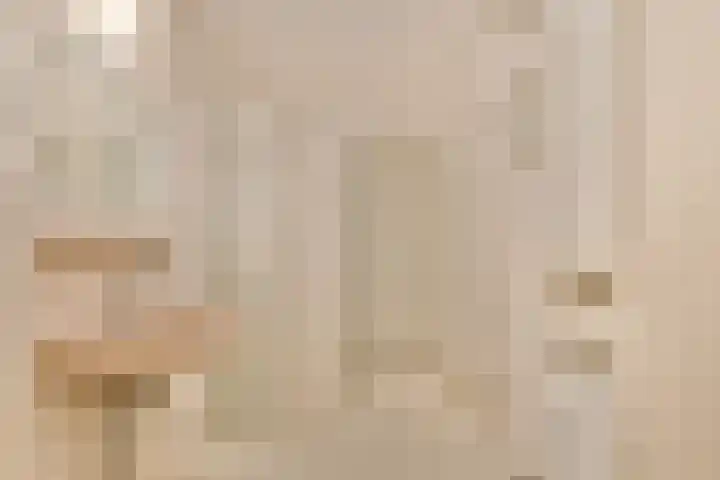 R Pollemaplein 10 Franeker thumbnail 8