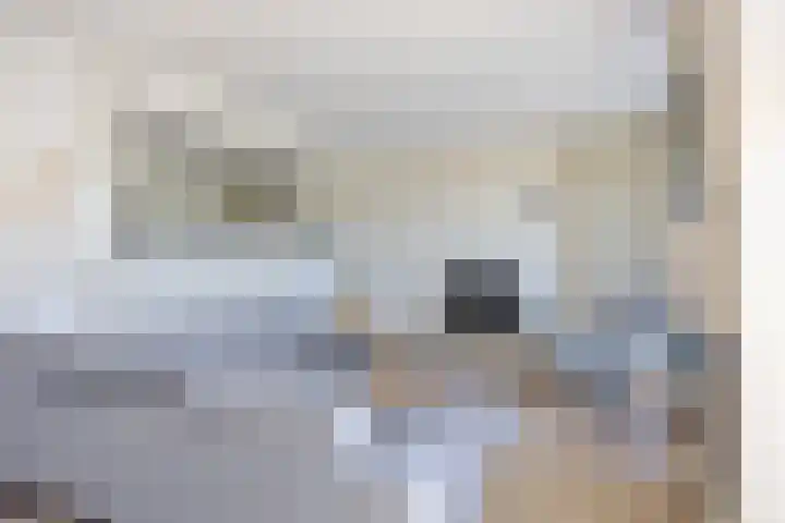 R Pollemaplein 10 Franeker thumbnail 9
