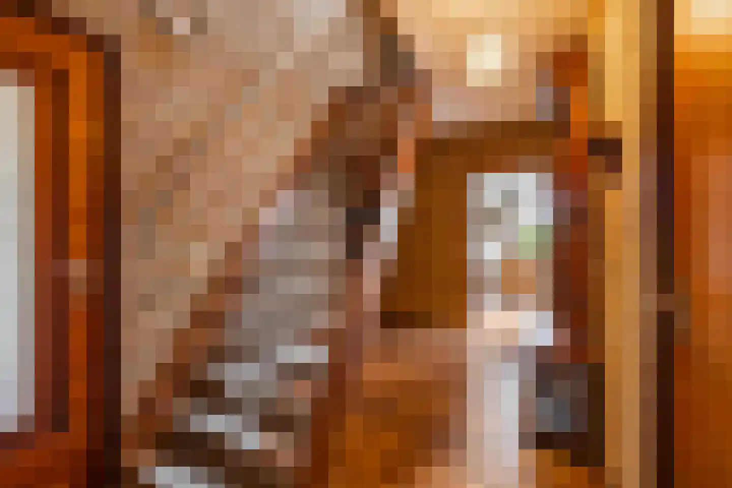 R. Ritzemastraat 8 Leens thumbnail 11