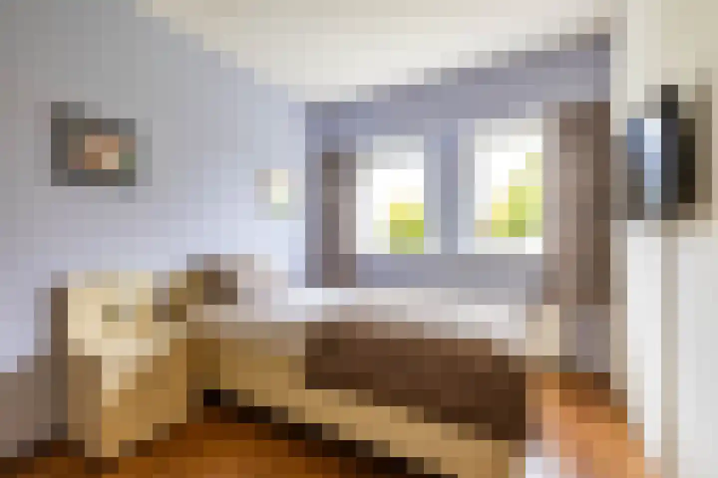 R. Ritzemastraat 8 Leens thumbnail 23