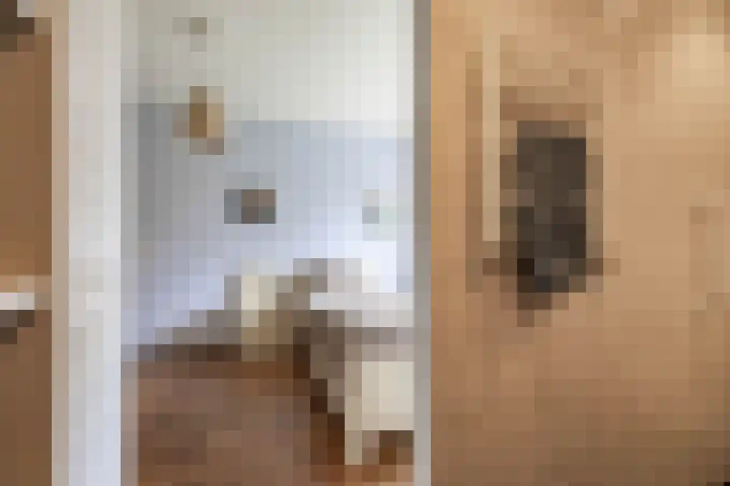 R. Ritzemastraat 8 Leens thumbnail 25