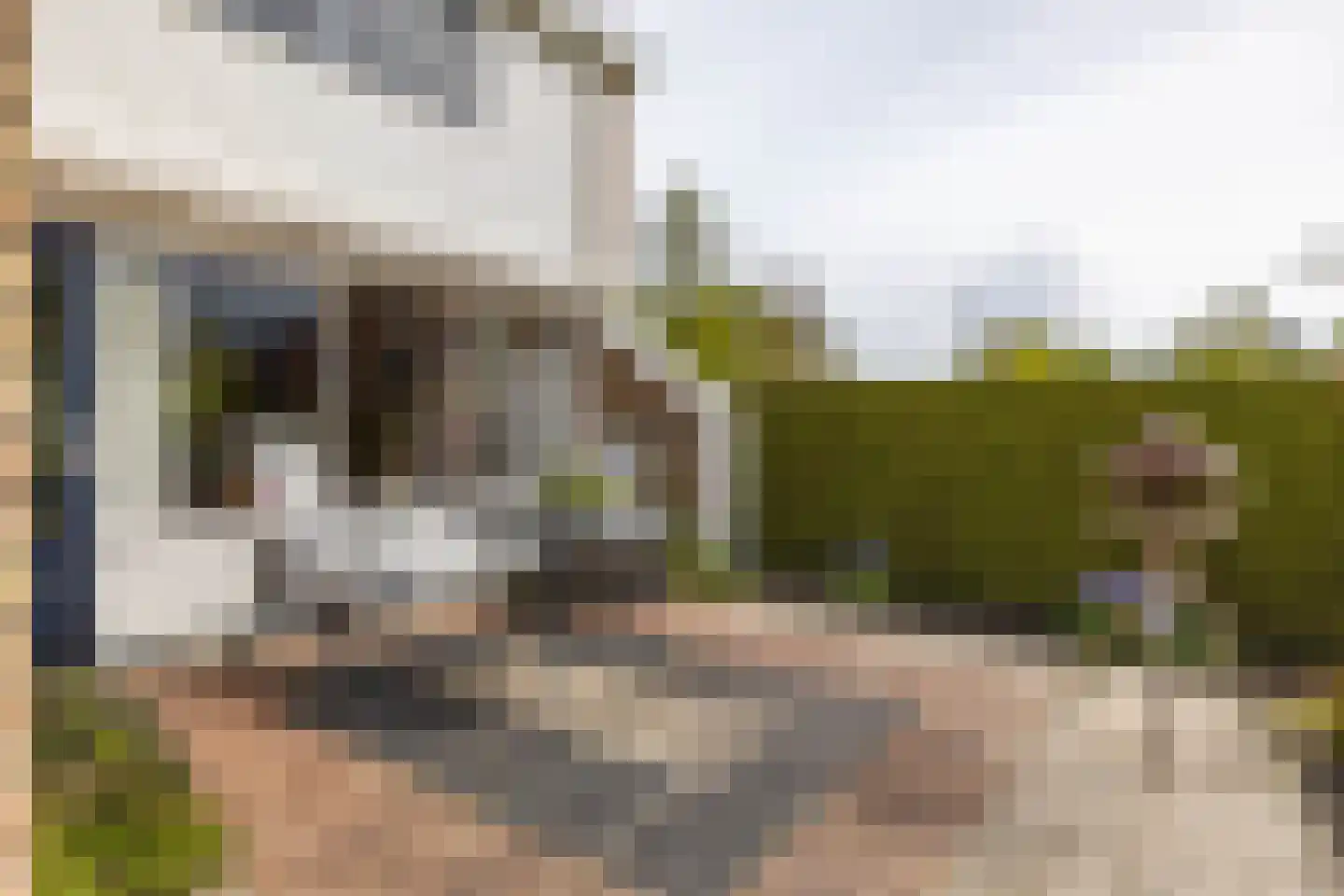R. Ritzemastraat 8 Leens thumbnail 42