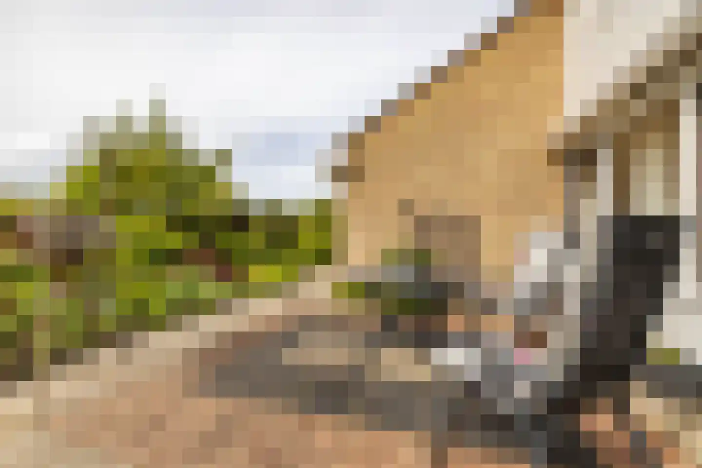 R. Ritzemastraat 8 Leens thumbnail 43