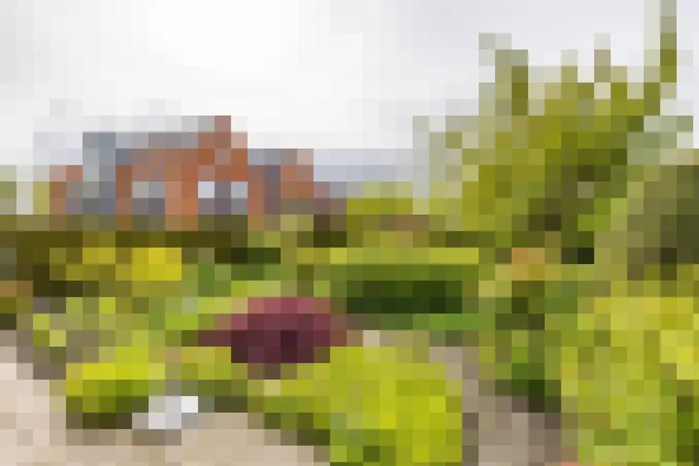 R. Ritzemastraat 8 Leens thumbnail 47
