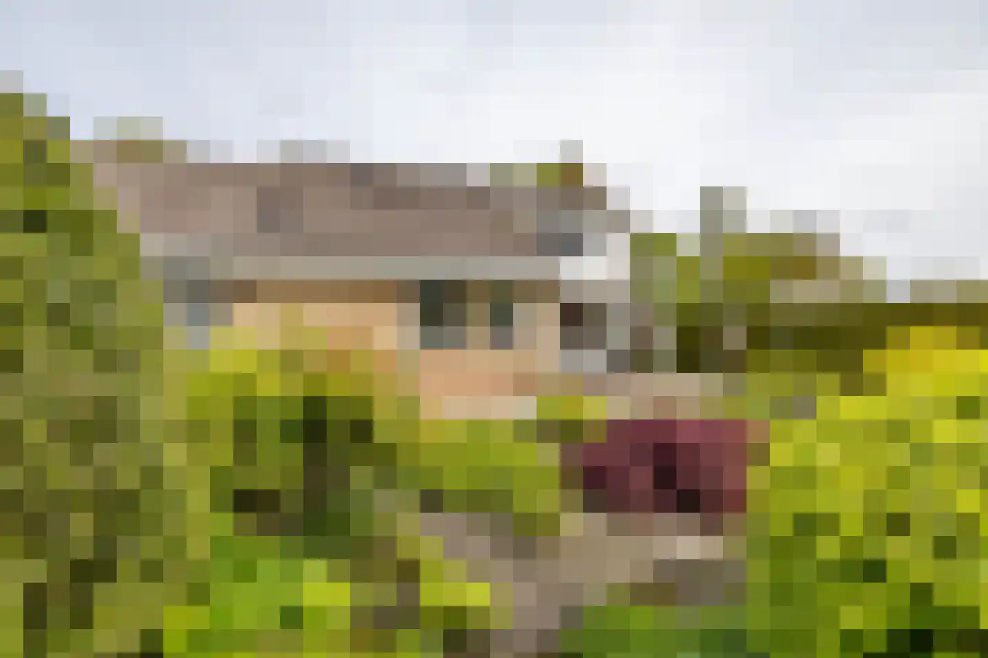 R. Ritzemastraat 8 Leens thumbnail 48