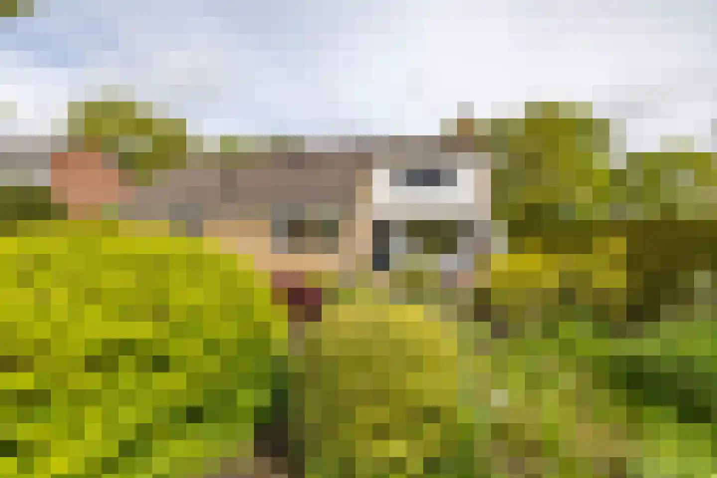 R. Ritzemastraat 8 Leens thumbnail 49