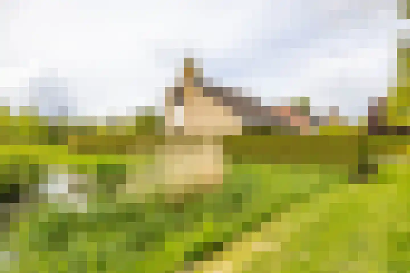 R. Ritzemastraat 8 Leens thumbnail 5