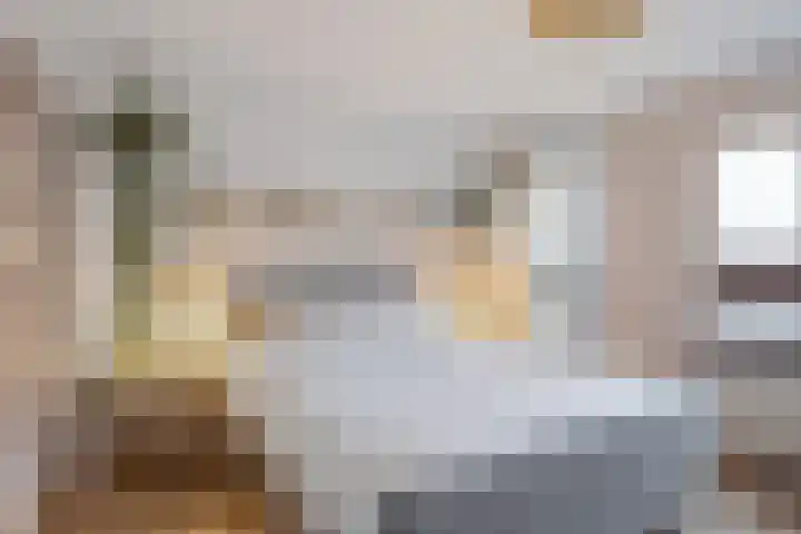 R. Schumanstraat 16 Groningen thumbnail 31