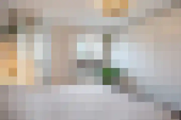 R. Schumanstraat 16 Groningen thumbnail 32