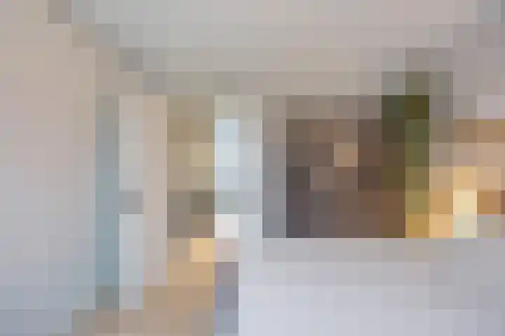 R. Schumanstraat 16 Groningen thumbnail 34