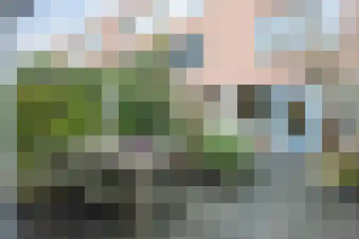 R. Schumanstraat 16 Groningen thumbnail 46