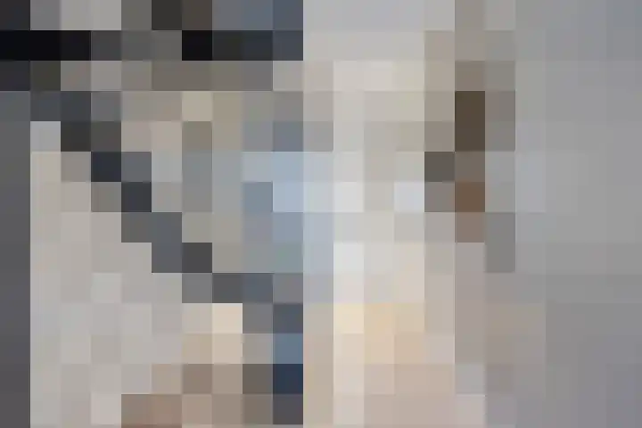 R. Schumanstraat 16 Groningen thumbnail 8