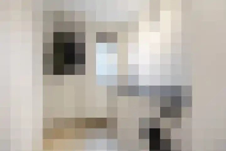 R. Schumanstraat 16 Groningen thumbnail 9
