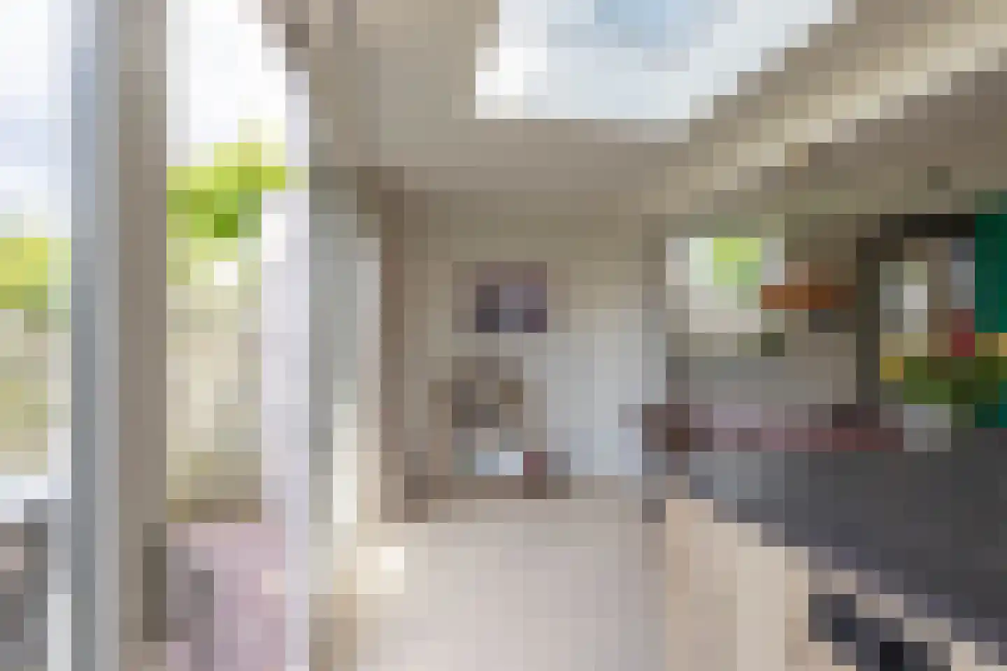 R. Schumanstraat 19 Groningen thumbnail 20