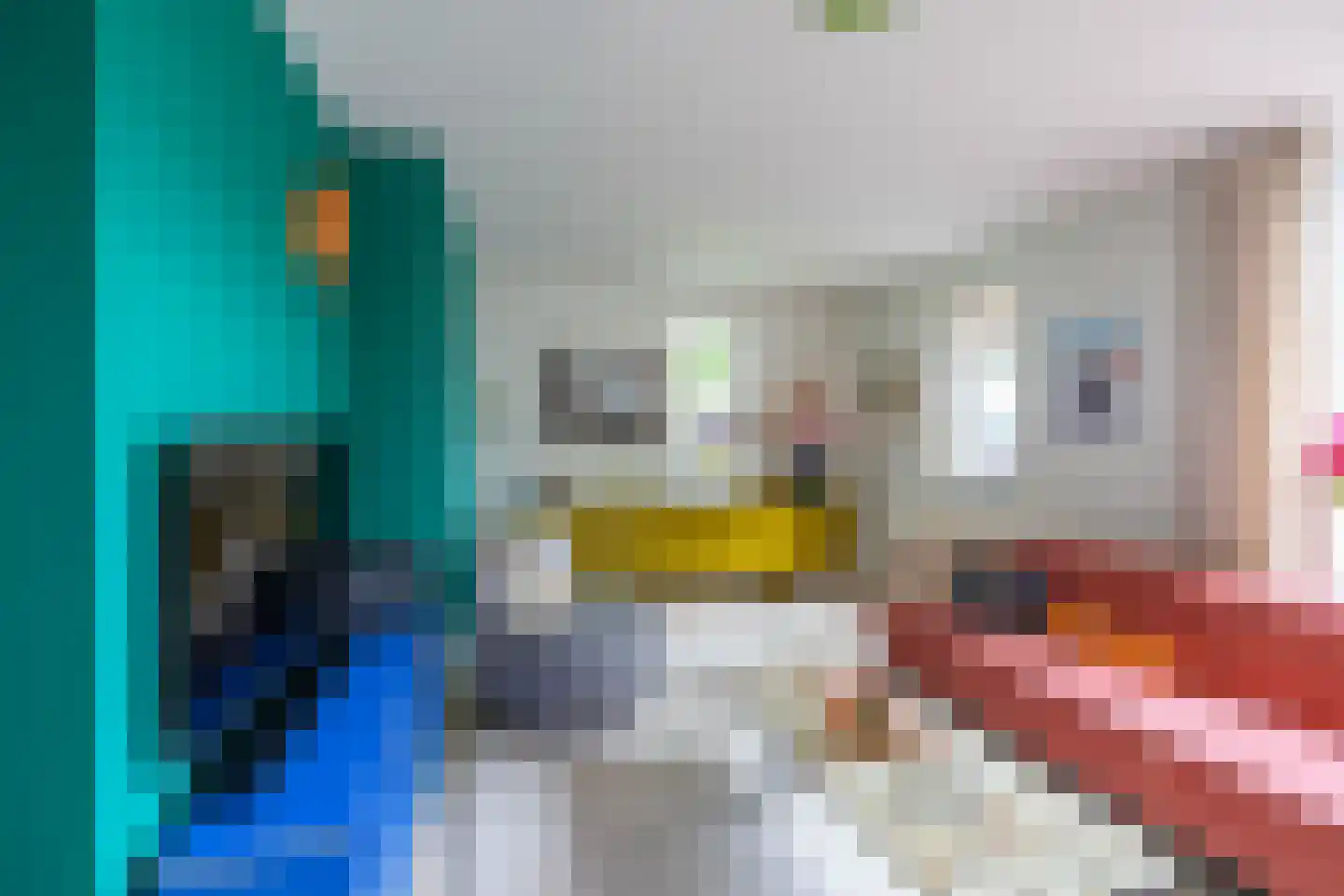 R. Schumanstraat 19 Groningen thumbnail 24