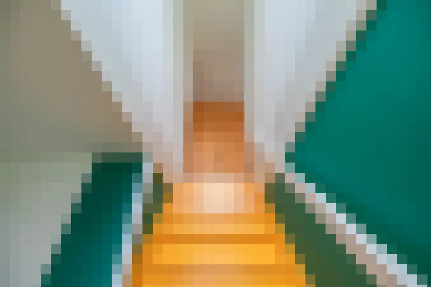 R. Schumanstraat 19 Groningen thumbnail 27