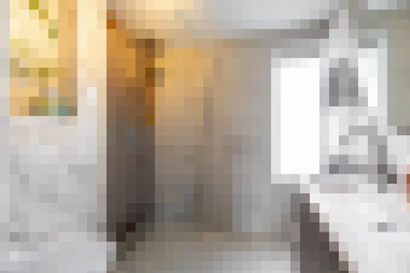 R. Schumanstraat 19 Groningen thumbnail 37