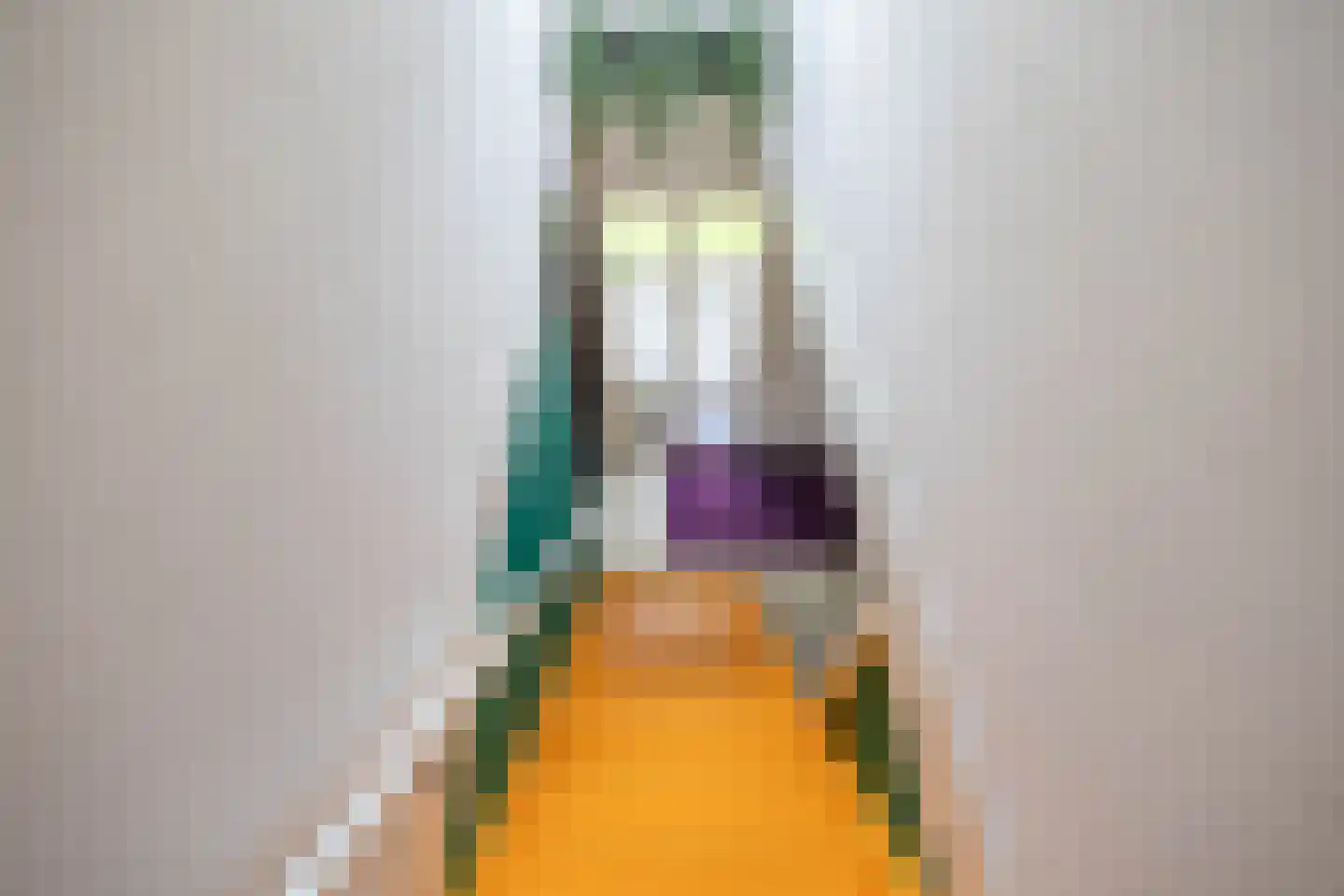 R. Schumanstraat 19 Groningen thumbnail 39