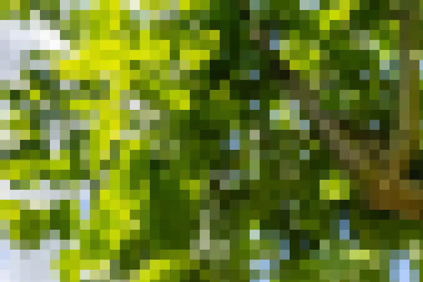 R. Schumanstraat 19 Groningen thumbnail 44